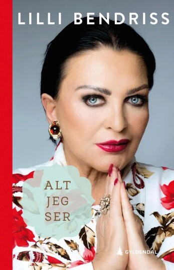 Alt jeg ser av Lilli Bendriss