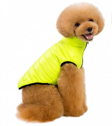 Fresh Gul Hundejakke