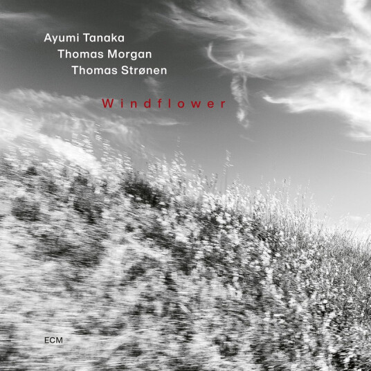 Ayumi Tanaka, Thomas Morgan, Thomas Strønen Windflower CD