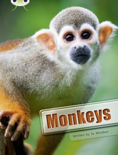 Bug Club Guided Non Fiction Year 3 White A Monkeys Av Jo Windsor