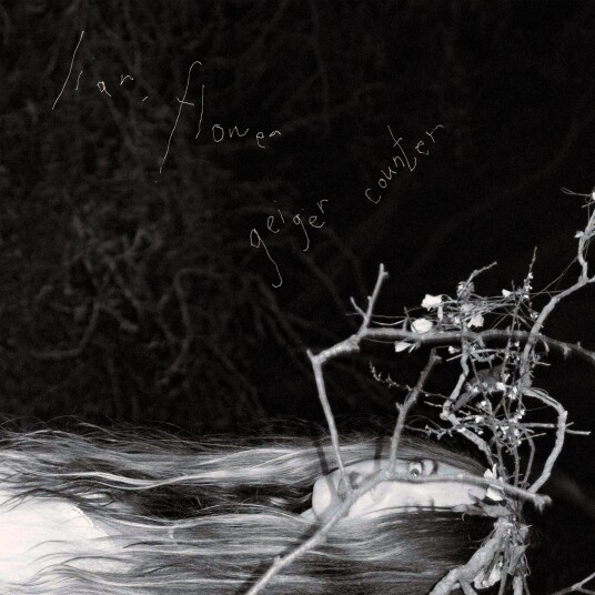 Liar, Flower Geiger Counter CD Liar, Flower Geiger Counter CD