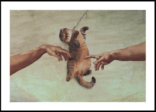 Touch of the Kitty Plakat / 70x100cm