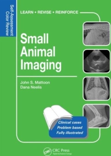 Small Animal Imaging