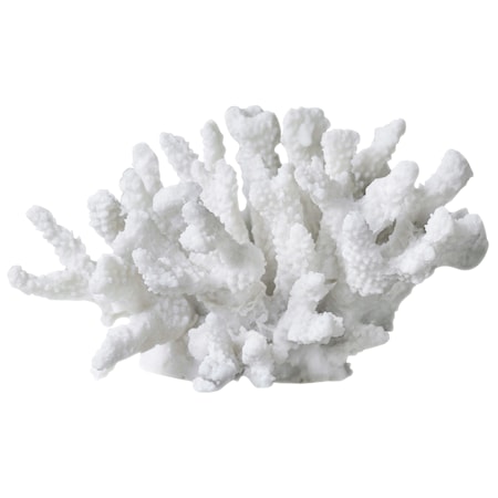 Coral Dekorasjon 16 x 18 x 10 cm Hvit Coral Dekorasjon 16 x 18 x 10 cm Hvit
