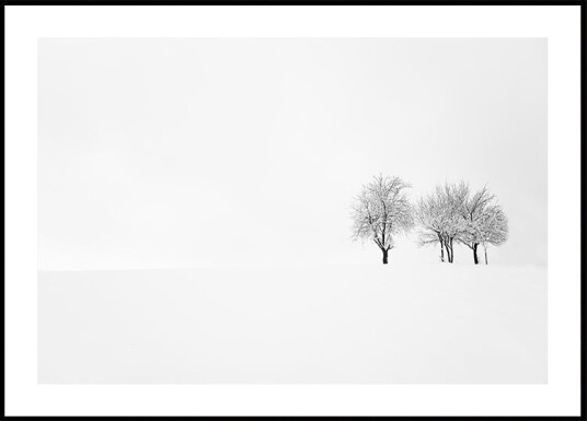tree and silence Plakat Plakat / 70x100cm tree and silence Plakat Plakat / 70x100cm