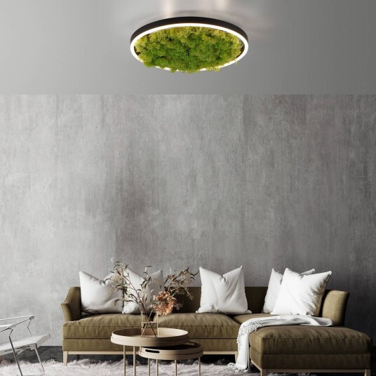 JUST LIGHT. GmbH LED-taklampe Green Ritus, dimbar, Grønn, Stue / spisestue, Moderne