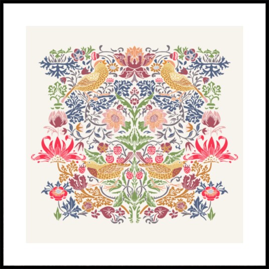 Vintage Botanical Birds Plakat / 100x100