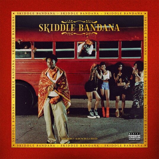 Skiddle Bandana Vinyl