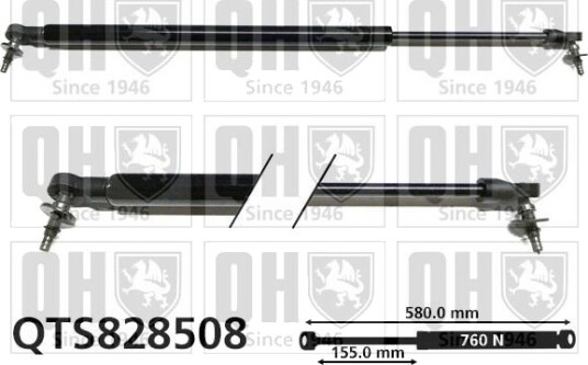 QUINTON HAZELL QTS828508 Baklukedemper