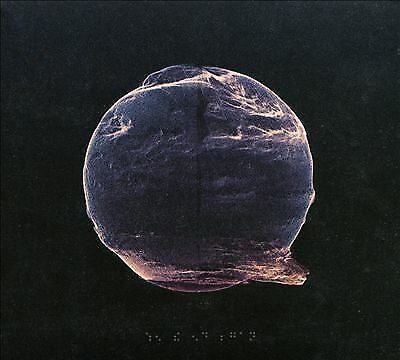 MediaTronixs Silent Planet : When the End Began CD (2018) Pre-Owned