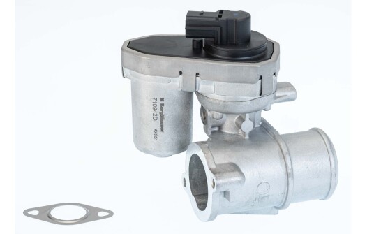 EGR Ventil WAHLER 710942D/1