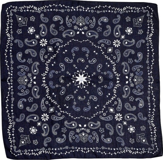 BOW19 Details Skjerf Paisley Blå BOW19 Details Skjerf Paisley Blå