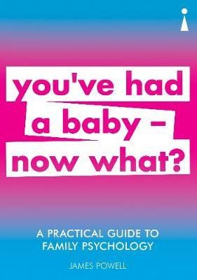 A Practical Guide to Family Psychology You've had a baby now what?