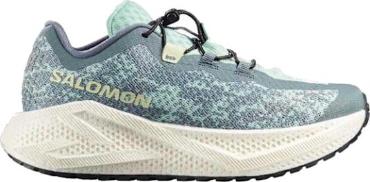 Salomon Aero Glide 4 GRVL Dame Stormy Weather/Lichen/Vanilla Ice 38 2/3