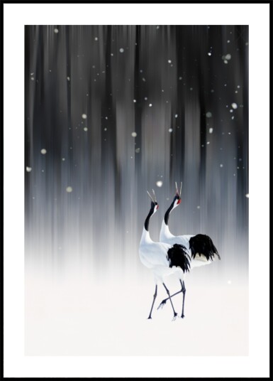 Elegant Cranes in Snow Plakat / 21x30 Elegant Cranes in Snow Plakat / 21x30