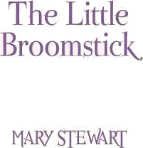 The Little Broomstick Av Mary Stewart