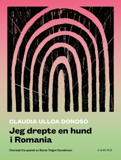 Jeg drepte en hund i Romania