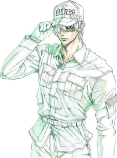Cells At Work! 6 Cells At Work! 6