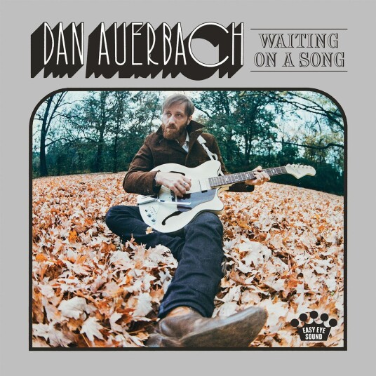 Dan Auerbach  Waiting On A Song  LP/Vinyl
