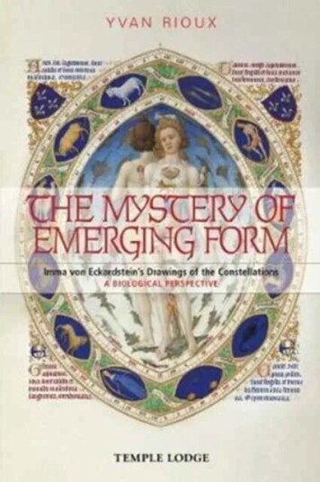 The Mystery Of Emerging Form Av Yvan Rioux