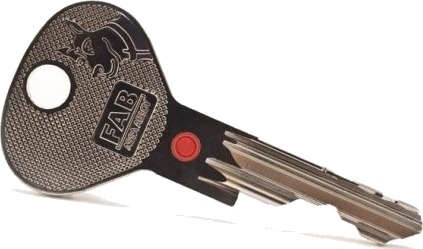 Blank Key 200Rs Rrs1 Fa207gg074.1000 Blank Key 200Rs Rrs1 Fa207gg074.1000