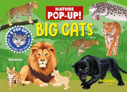 Big Cats Big Cats