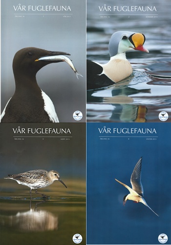 Norsk Ornitologisk Forening Vår Fuglefauna   2013  hele årgang 36