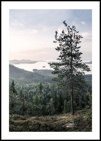 Nordic Forest and Lake View Plakat Plakat / 30x40cm