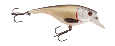 Westin Babybite Dr Crankbait 6,5cm 13g Floating wobbler Official Roach - 12g