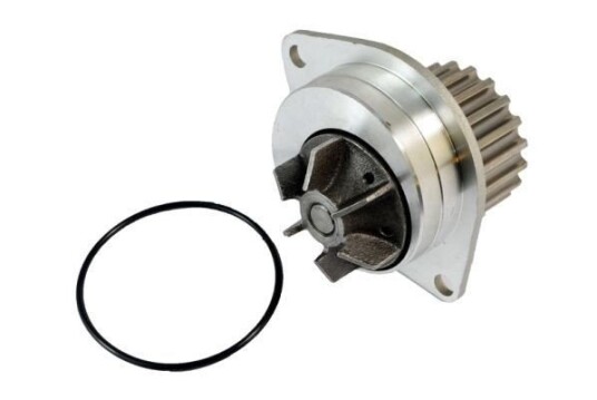 THERMOTEC D1P019TT Vannpumpe THERMOTEC D1P019TT Vannpumpe