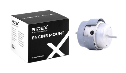 Motorfeste RIDEX 247E0263