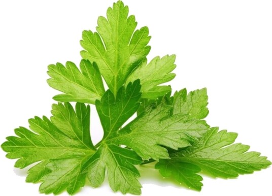 Click and Grow Smart Garden Refill 3-pack Cilantro/Coriander SGR45X3 Click and Grow Smart Garden Refill 3-pack Cilantro/Coriander SGR45X3