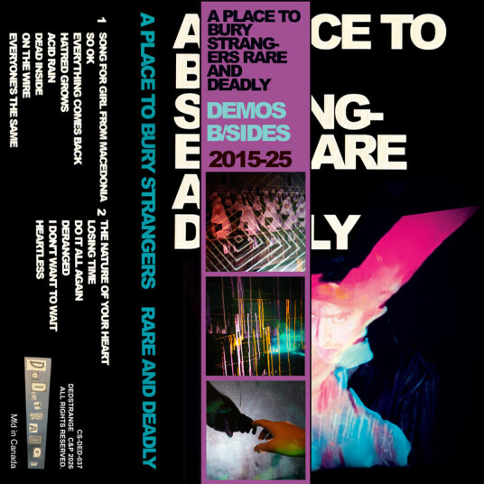 A Place To Bury Strangers Rare And Deadly Kassett