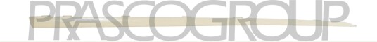 Pynte- / beskyttelseslist, dør PRASCO RN7001413