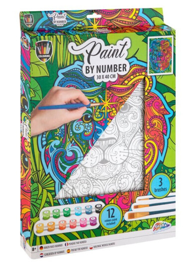 Grafix Painting by Numbers Canvas - Lion