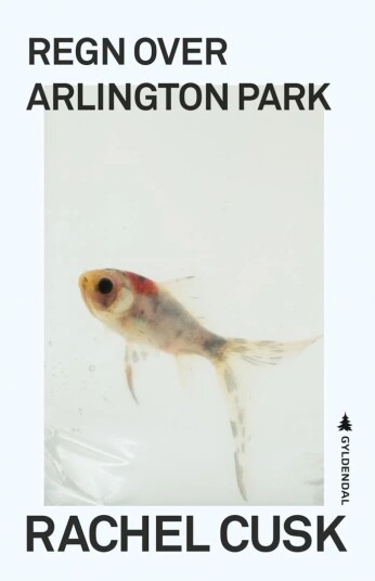 Regn Over Arlington Park Av Rachel Cusk