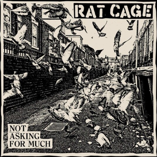 Rat Cage Not Asking For Much Vinyl