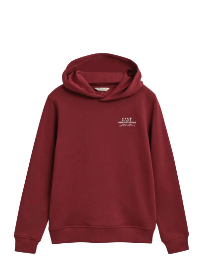 GANT Graphic Hoodie - Multi/patterned - 170