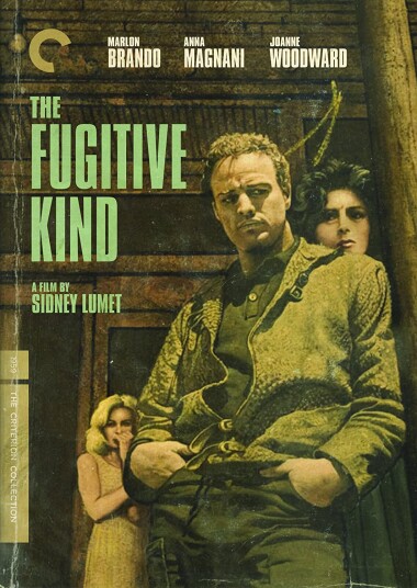 The Fugitive Kind (1960) / Slangeskinn DVD
