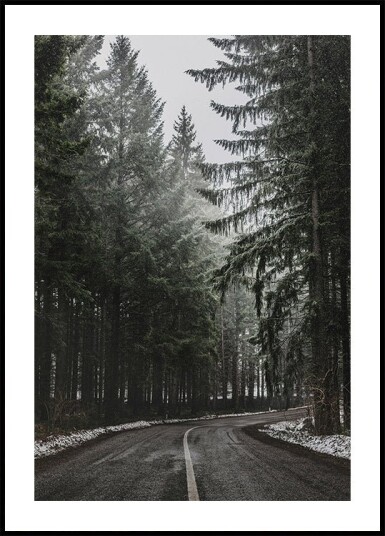 Forest Road in Winter Plakat Plakat / 30x40cm