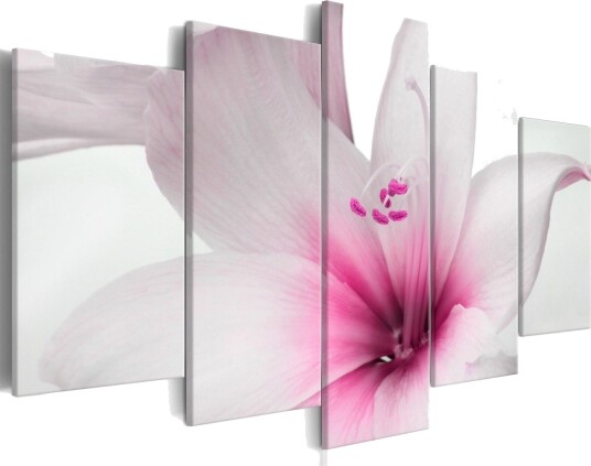 Bilde Amarylis Pink Charm 200x100 Artgeist sp. z o. o.