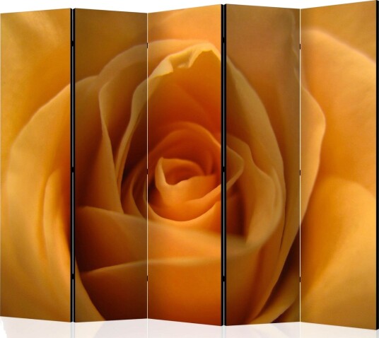 Romdeler - Yellow rose II 225x1 - Artgeist sp. z o. o.