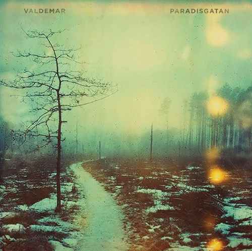 Valdemar Paradisgatan Vinyl