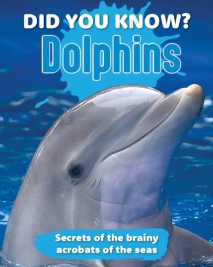 Did You Know? Dolphins Did You Know? Dolphins