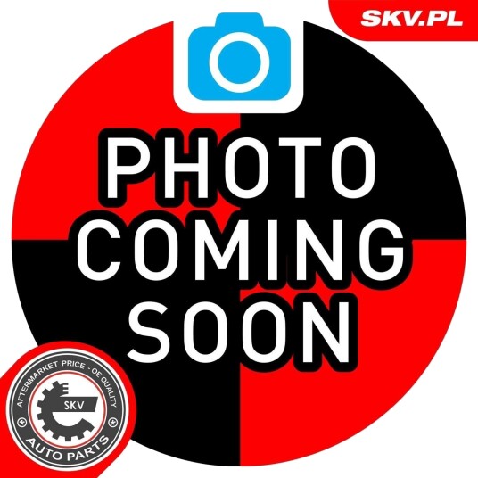 ESEN SKV 97SKV747 Sidespeil