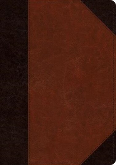ESV Large Print Wide Margin Bible ESV Large Print Wide Margin Bible