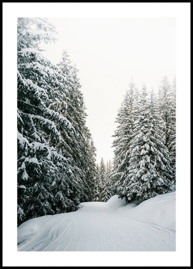 Snowy Road Through Evergreen Forest Plakat Plakat / 100x150cm