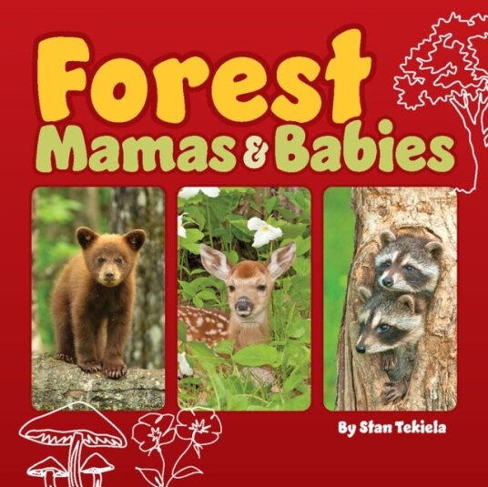 Forest Mamas and Babies Forest Mamas and Babies