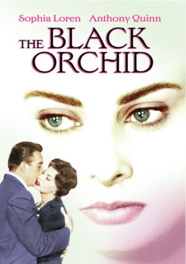 Black Orchid DVD Black Orchid DVD