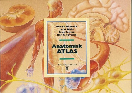 Anatomisk Atlas Av Jan G. Bjålie, Michael Budowick, Bent Rolstad, Kari C. Toverud